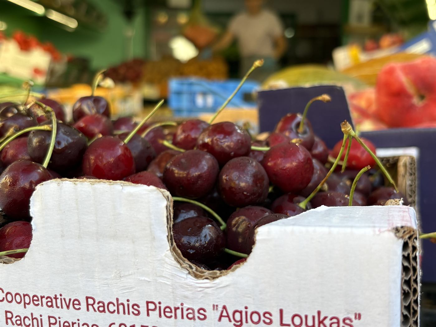 Κασόνι με φρεσκοκομμένα κεράσια