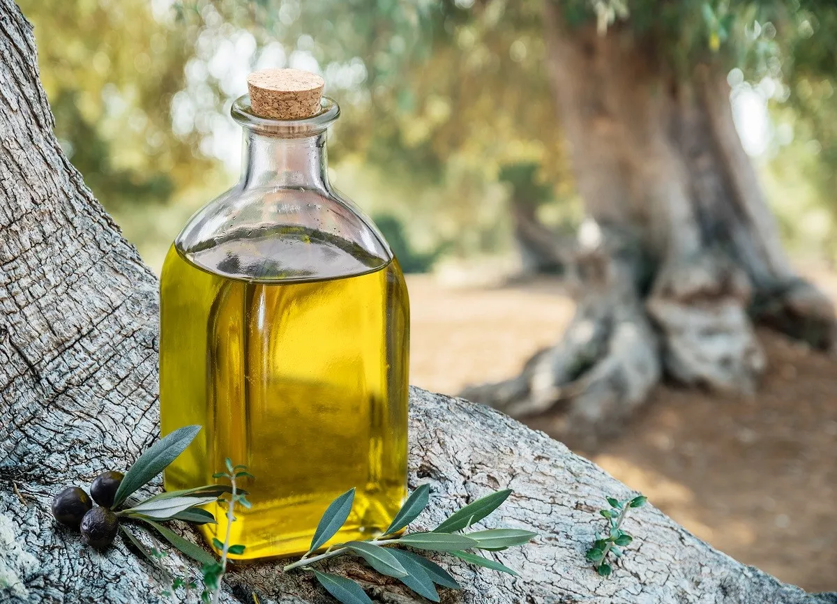 Μπουκάλι ελαιόλαδο πάνω σε κορμό ελιάς